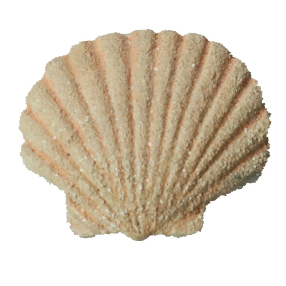 Лидер продаж индивидуальные полимерные магниты для холодильника персонализированные в виде морской звезды прибрежный Декор