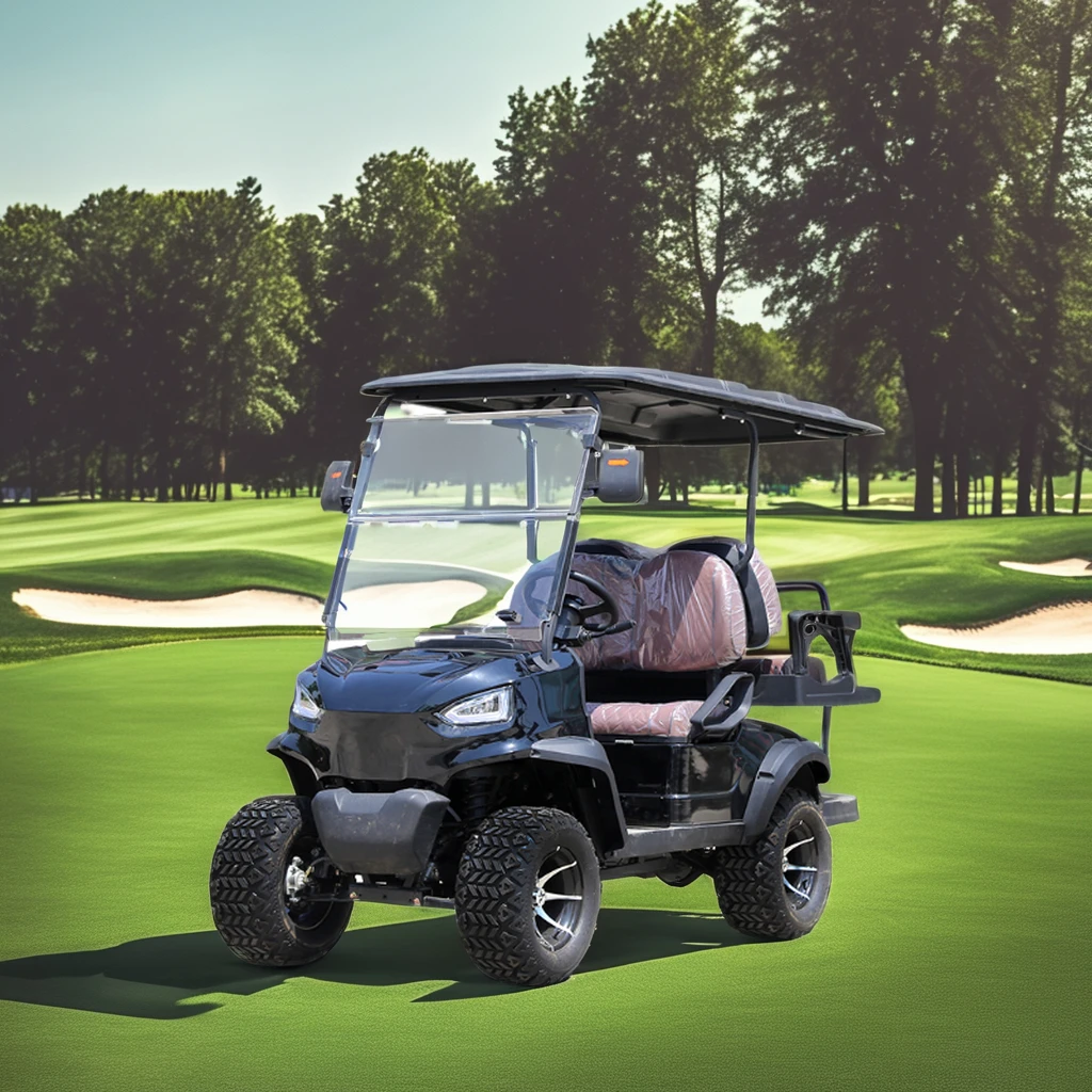 Utility Vehicle Classic New Style Two Wheel Fat Tire Electric Golf Carts