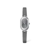 Silver Gray