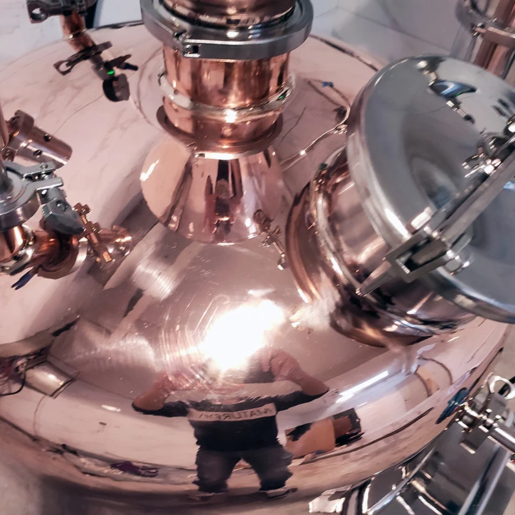 Electric Heating Steam Type Extraction Rose Rosemary Lavender Essential Aromatic Oil Distiller