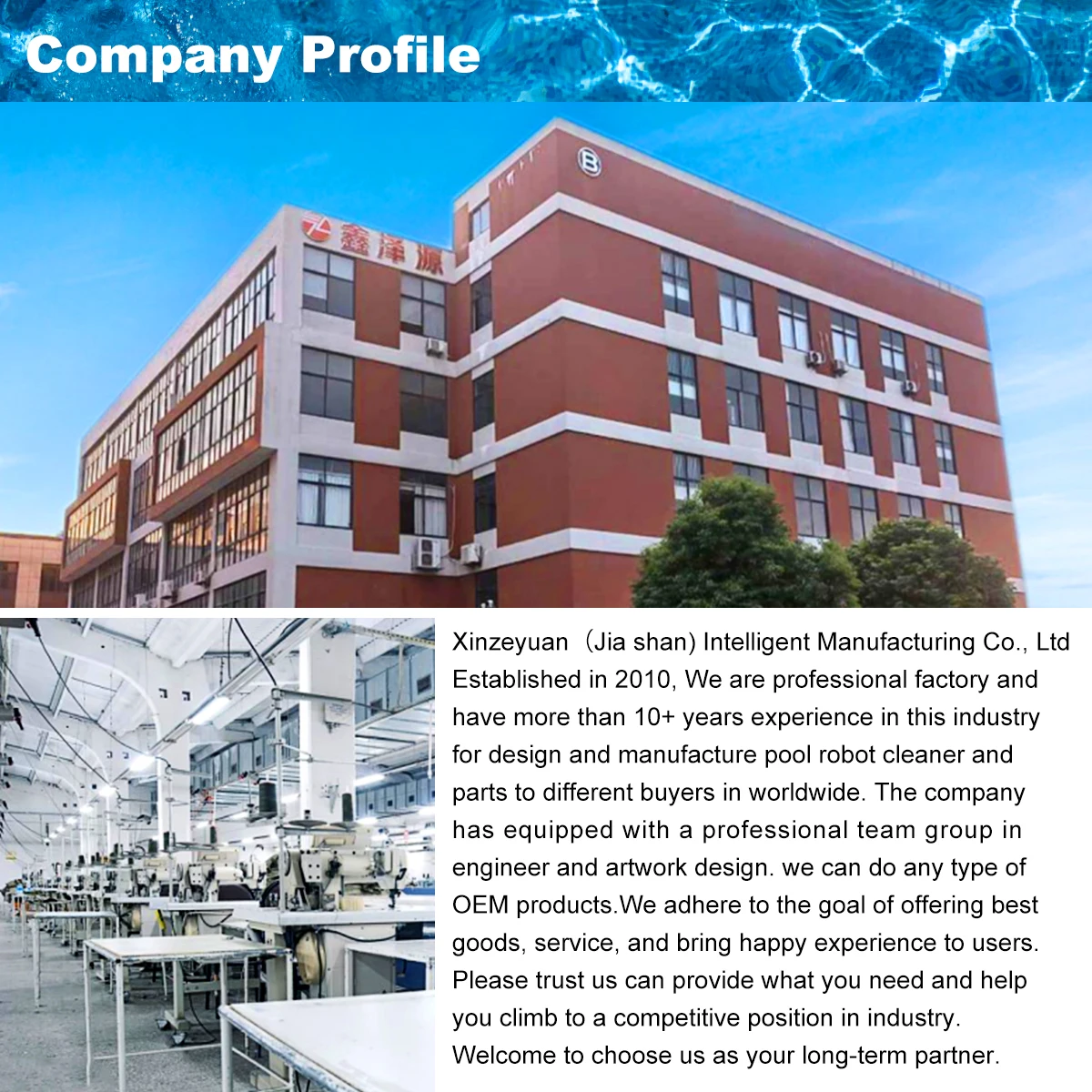 Professional Heavy Duty Flexible Floor Wall Pool Brush With Polished