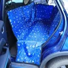 Patte d'os bleu