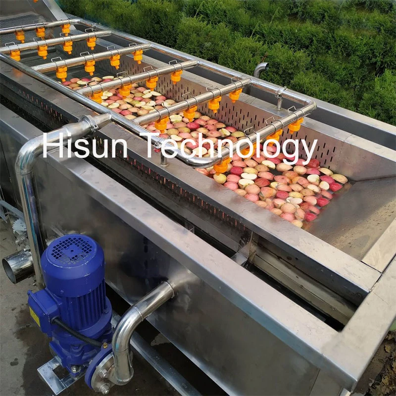 Washing Machine Vegetable Fruit Washing Machine Industrial Ozone Strawberry Apple Washing Line Drying Machine