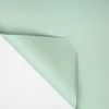 Modelo de calidad - verde haba claro - 20 hojas - 5858 cm
