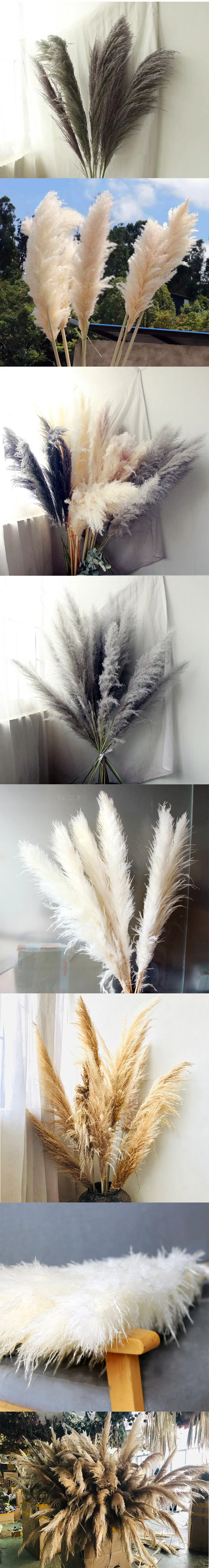 A33 2023 New Arrivals Natural Artificial Flowers Large Pampas Pampa