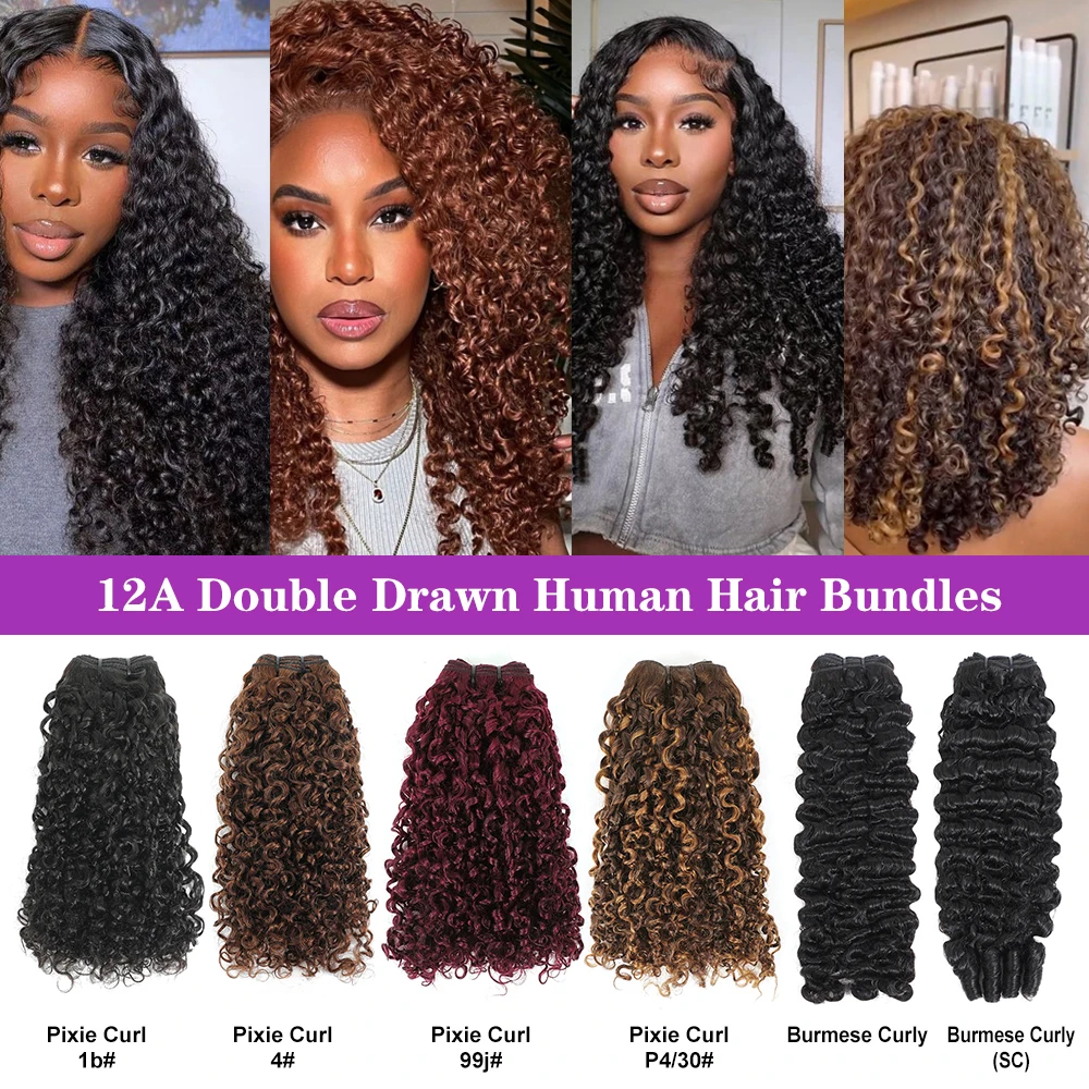 SDD Piano Color Pixie Curls P4/30# Human Hair Bundles Highlight P4/30 Single Donor Raw Super Double Drawn Pixie Curly Bundles