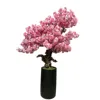Pink4