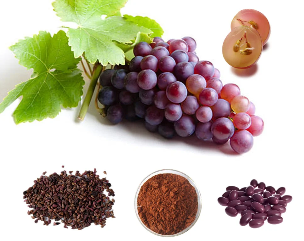 High Quality Natural Genuine Opc Proanthocyanidins Grape Seed Extract ...