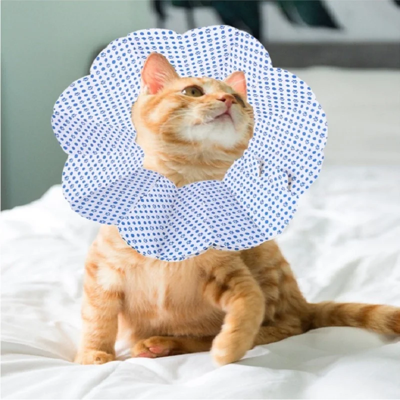 2019 Высокое качество бумаги pet Elizabeth воротник, кошка мягкий воротник шеи, укус доказательство воротник