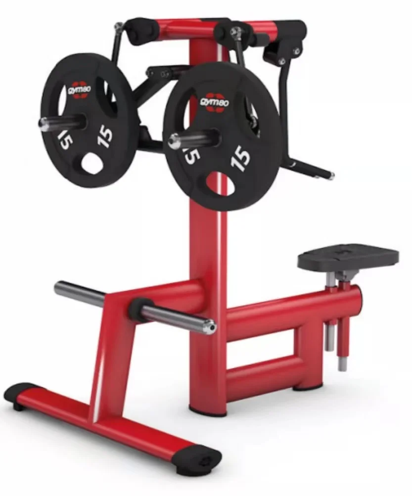 Professional Body Building Fitness Gym Equipment Plate Loaded Back