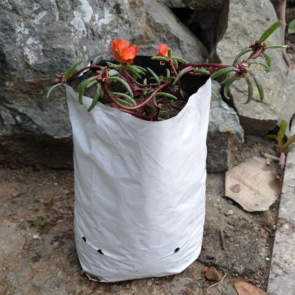 1/2/3/5/7  Gallon Anti-UV Plastic Nursery Bag Black Open Top Polyethylene Grow Bag for Greenhouse Planting