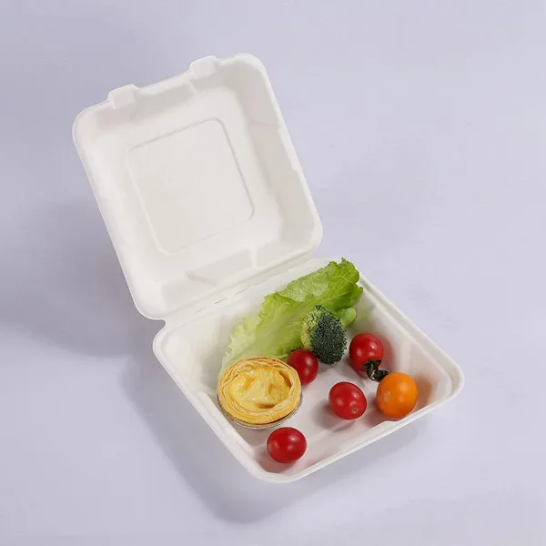 Biodegradable 6X6 Take out Food Containers with Clamshell Hinged Lid  Microwaveable Disposable Takeout Box Great for Restaurant Carryout or Party Take  Home Boxes - China Lunch Box, Packaging Box