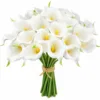 Bianco con centro giallo e coda verde.