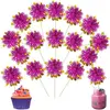 สีม่วง