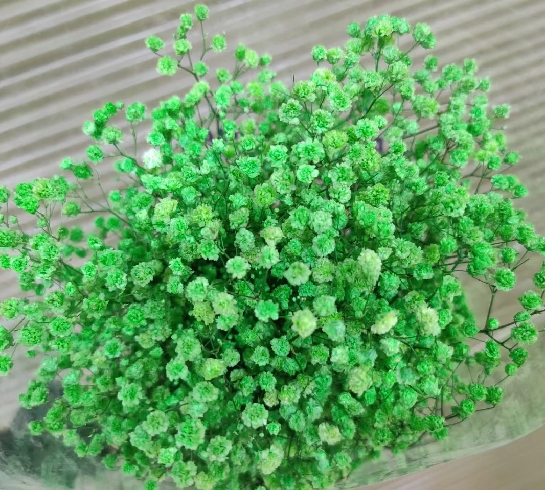 顶级销售保存婴儿呼吸婚礼装饰真实触摸满天星鲜花花束diy材料 Buy 婴儿呼吸满天星 真正的触摸婴儿呼吸 满天星product On Alibaba Com