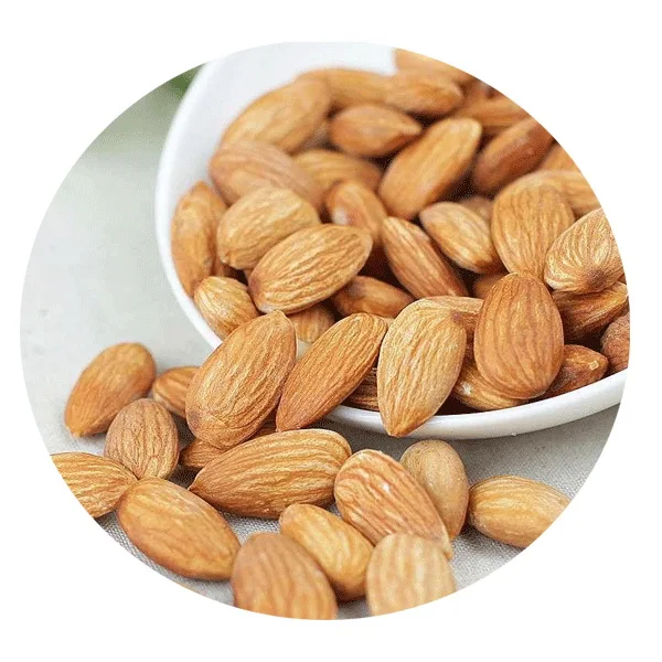 2021 good quality prunus dulcis seeds/almond seeds/tonsil seeds