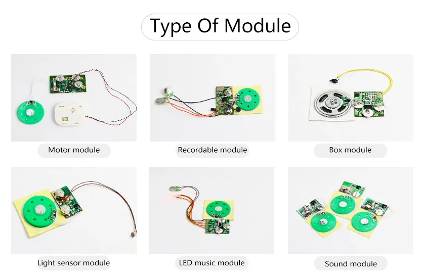 module.jpg