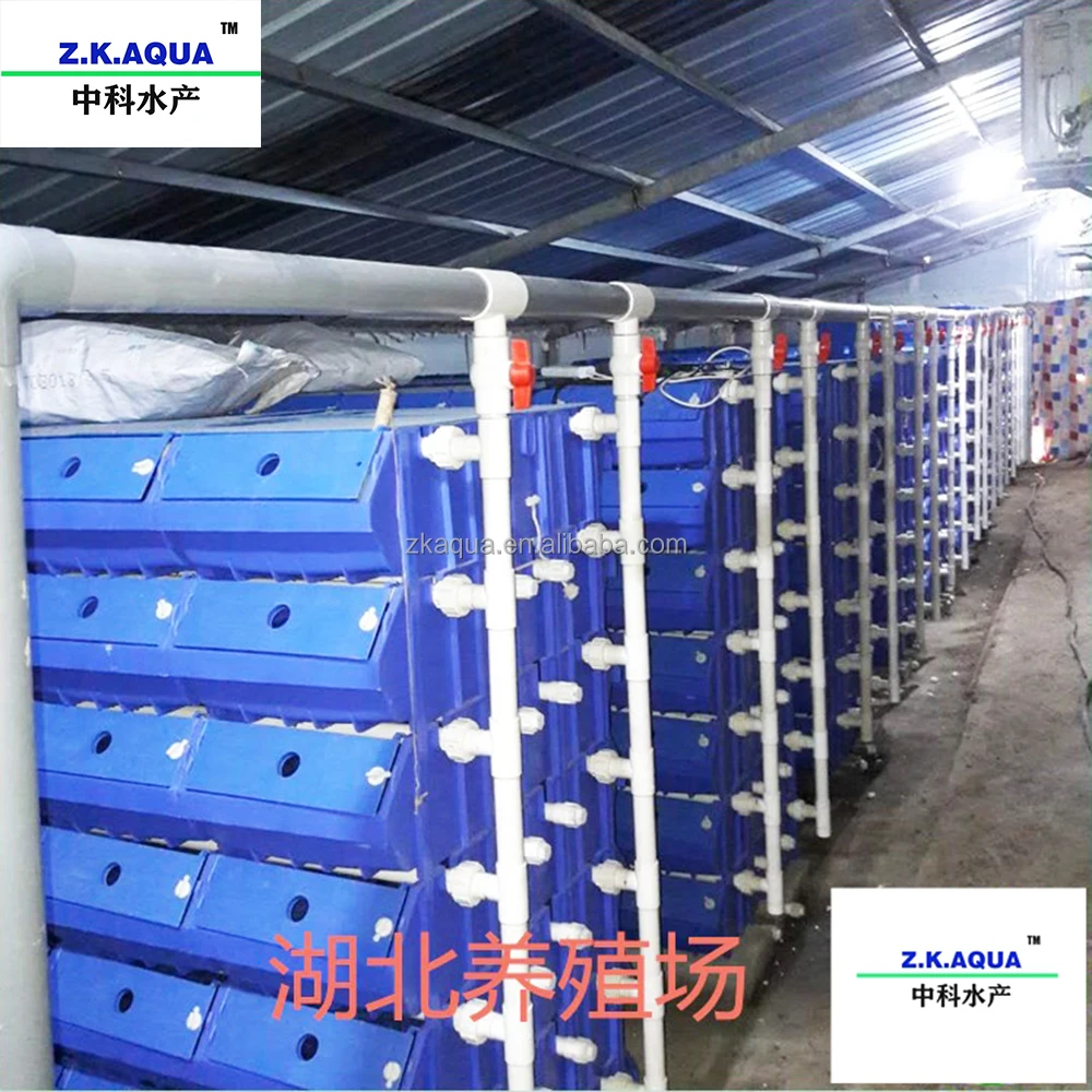 Mud Crab House Philippines Vertical Farming Cost Crab Farm System Crab Boxes Ras System