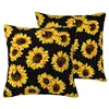 tournesols