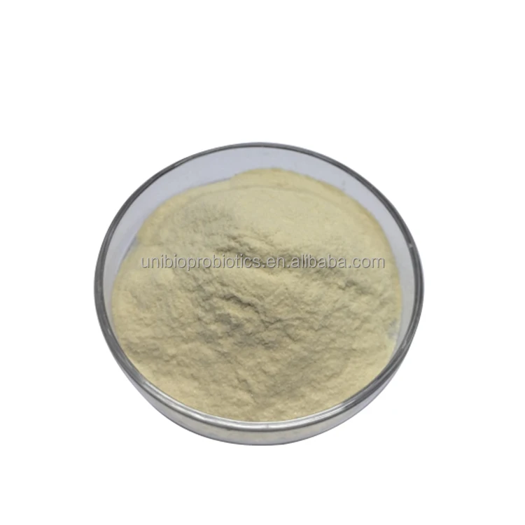 Lactococcus Lactis Subsp. Lactis HLL31 High Potency Probiotics Powder Raw Material