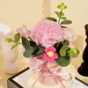 Carnation Pink