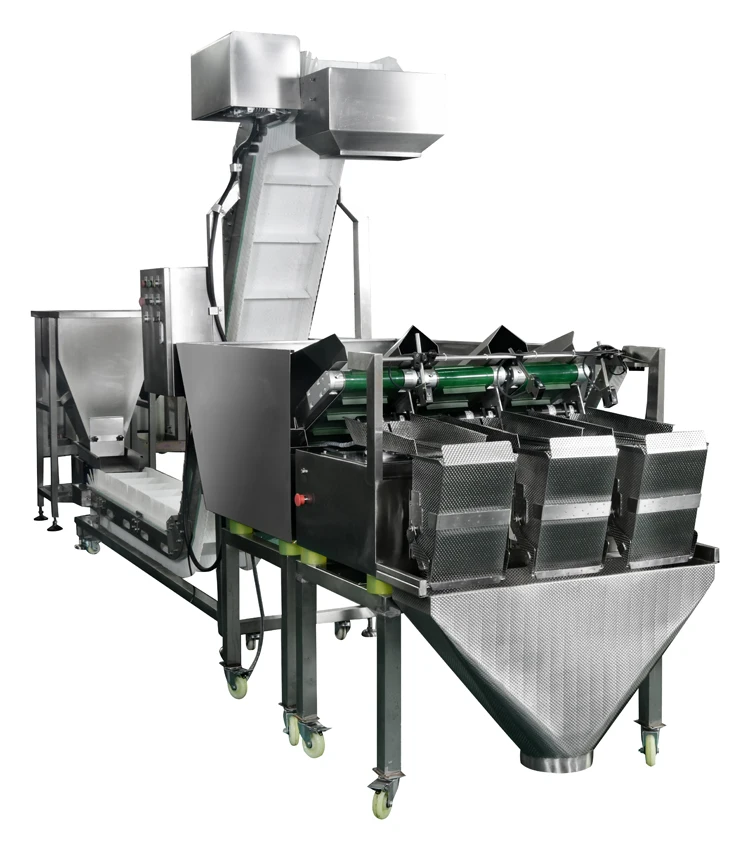 Weighlin Mini Smart Automation 2 3 Head Linear Belt Weigher Doser Packing Machine