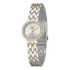 Argento oro B