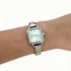 Argento verde chiaro