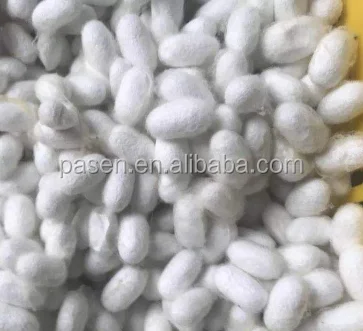 Silkworm Spinning Machine Silk Reeling Machine Cocoon Spinning Machine