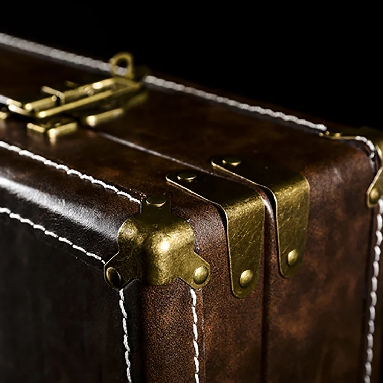 Glary Vintage Leather Violin Gun case Multi-purpose Usage Large Briefcase With Brass Lock Soft Cases for Gun Storage Collection