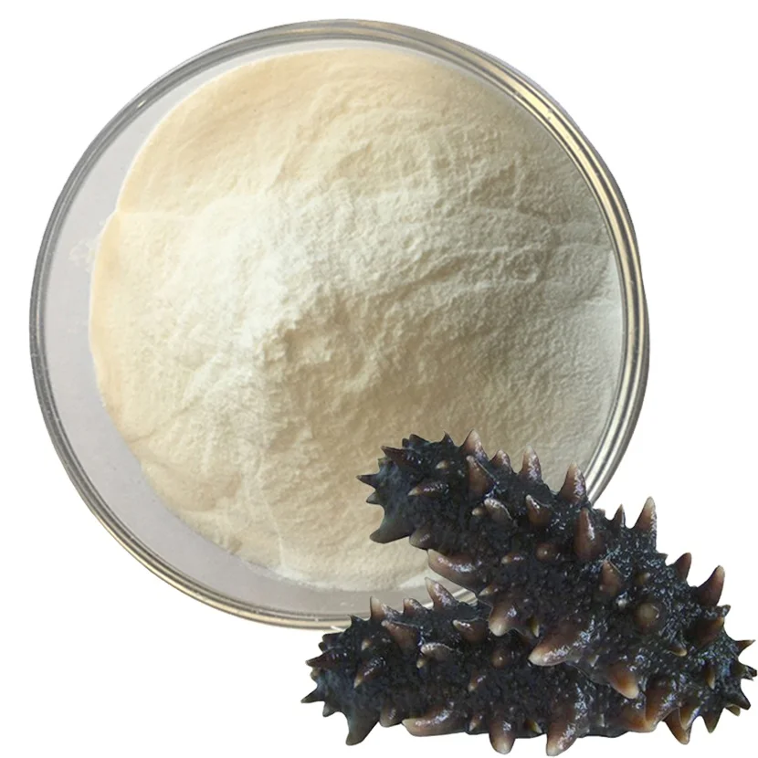 sea cucumber peptide high quality pure sea cucumber active short