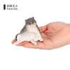 3342 Chat paresseux