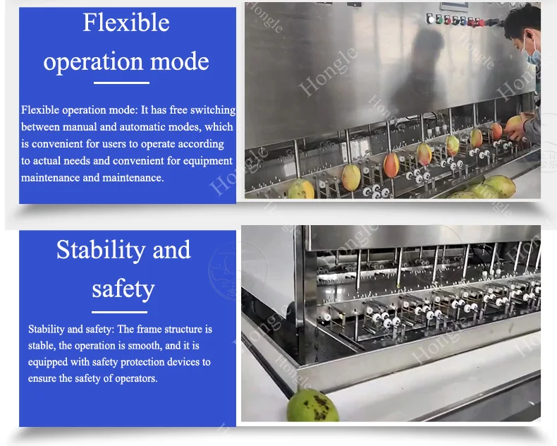Orange Mango Automatic Peeling Machine manufacture
