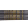 30T-500 colonna vertebrale