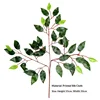 Branches de banian en soie ordinaire
