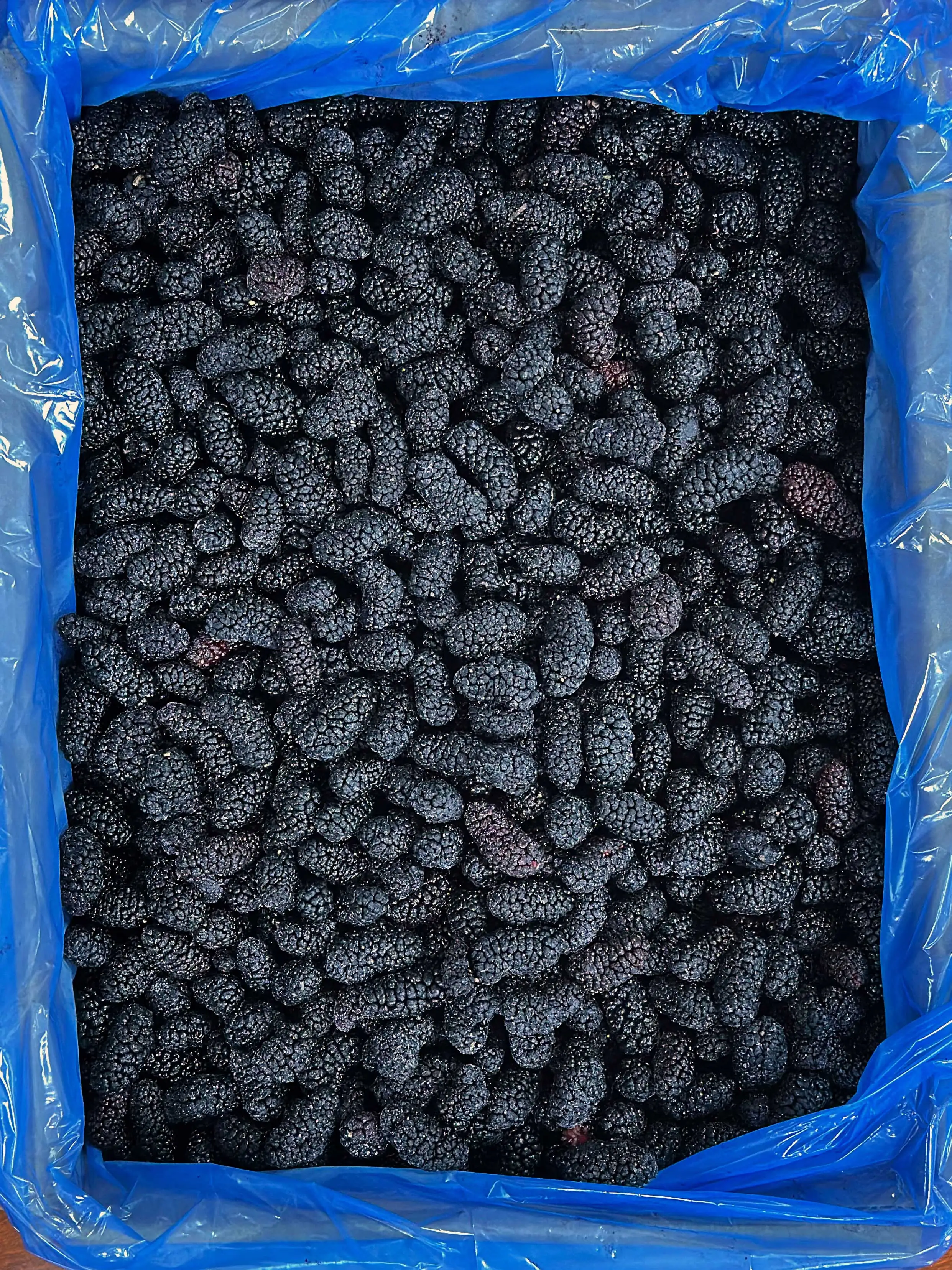 product wholesale frozen mulberry cheap bulk passed new crop brine preserved whole frozen mulberry-4