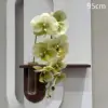 #6 Phalaenopsis-Verde chiaro