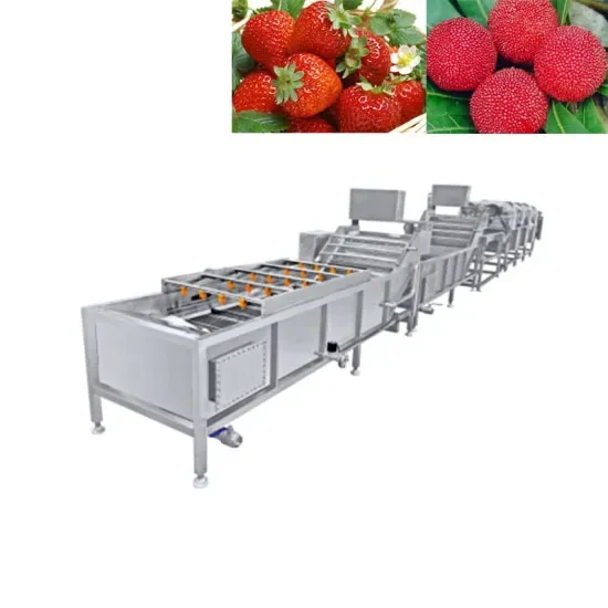 Washing Cleaning Machine Fruit Color Sorter Machine for Fruit and Vegetable