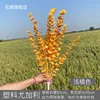 Eucalipto de Plástico, Naranja Claro