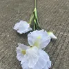 5 simulation-3 head iris