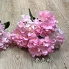 6 teste di ortensia finlandese multicolore rosa
