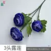 ดอกบัวน้ำค้าง 3 หัว HN สีฟ้า-ม่วง