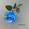 Silk Rose - Blue