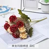 Mary hydrangea crimson-dark leaf