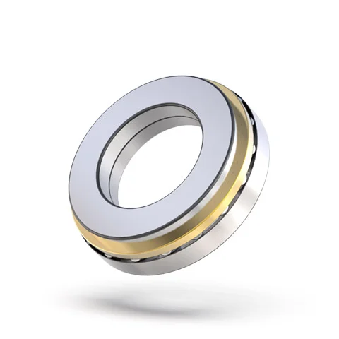 Stainless Steel 81209 WS 81109 GS 89309 AS 4565 Cylindrical Roller