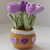 Purple tulip large potted plant