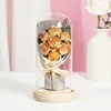 Cappuccino 7 roses