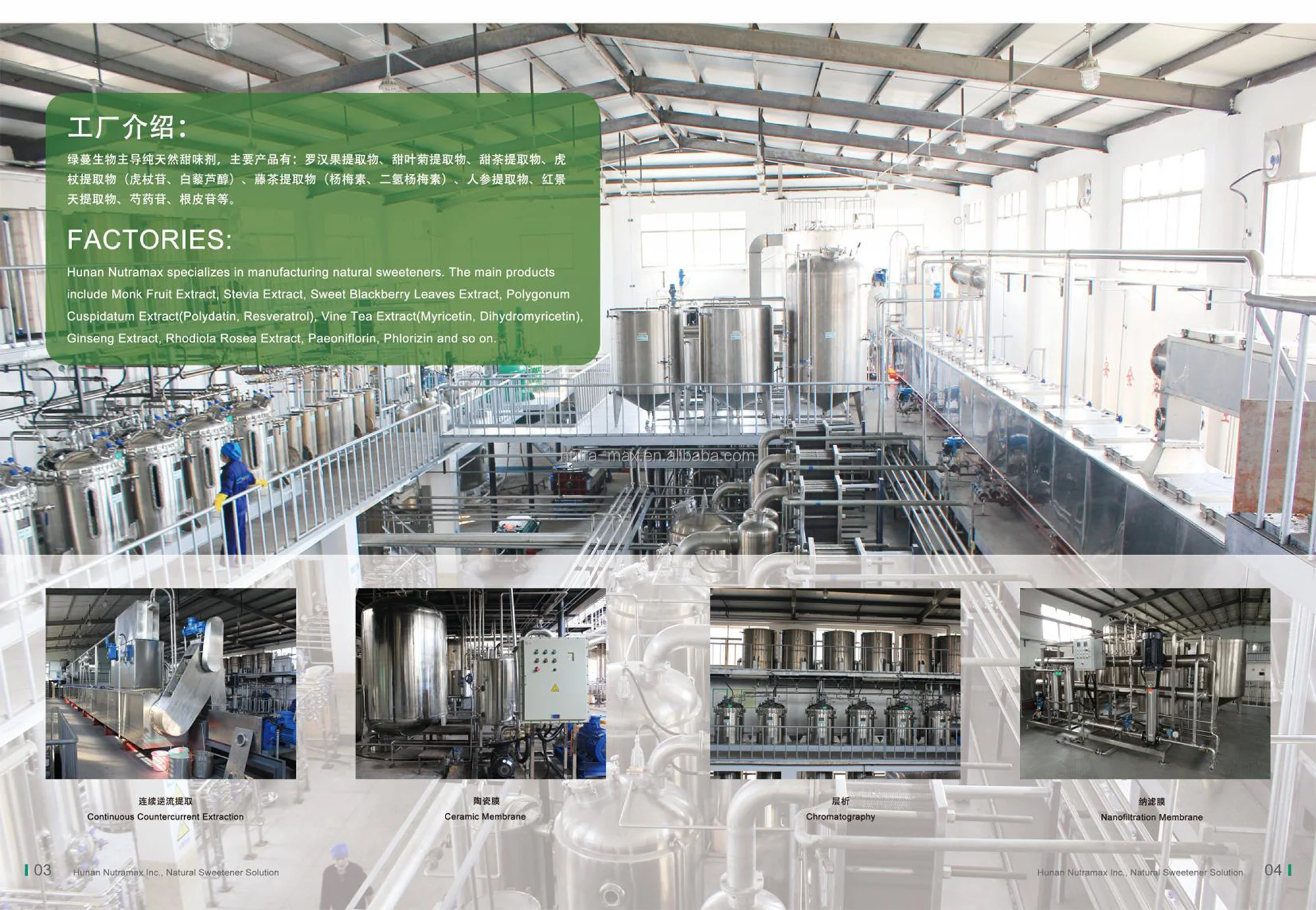 High Quality Turnip Seed Extract Radish Seed Powder Radish Seed Extract