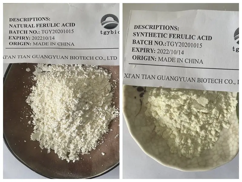 High Quality Rice Bran Extract Natural  Ferulic Acid Powder