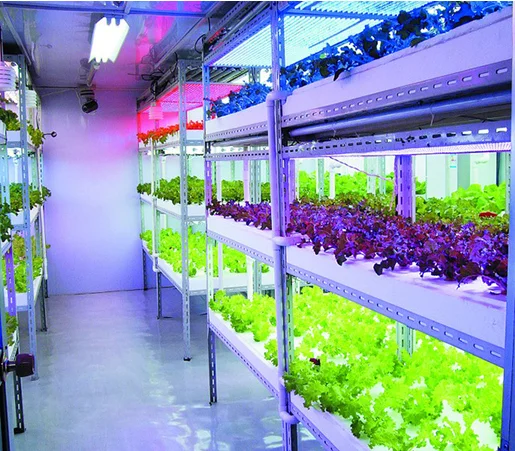 large hydroponic systems